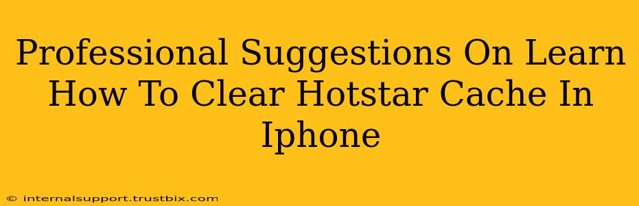 Professional Suggestions On Learn How To Clear Hotstar Cache In Iphone