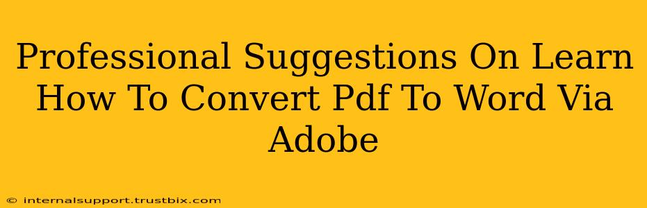 Professional Suggestions On Learn How To Convert Pdf To Word Via Adobe