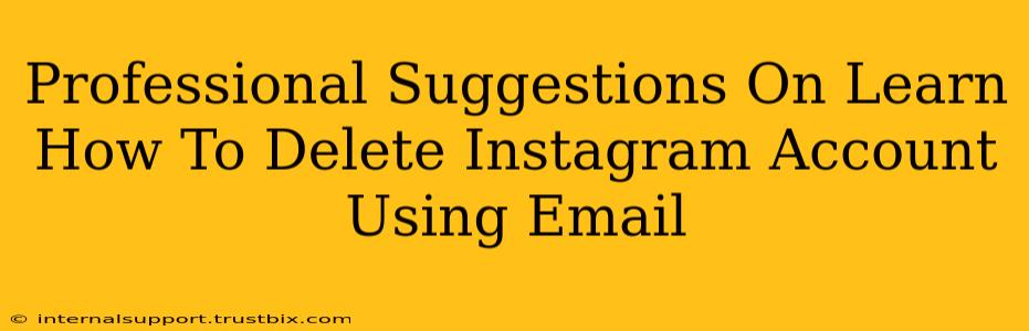 Professional Suggestions On Learn How To Delete Instagram Account Using Email