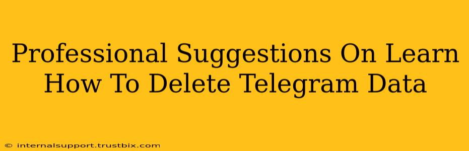 Professional Suggestions On Learn How To Delete Telegram Data