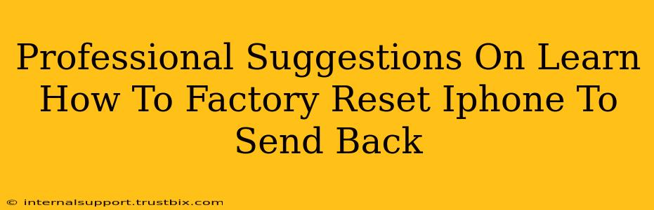 Professional Suggestions On Learn How To Factory Reset Iphone To Send Back