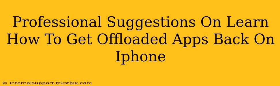 Professional Suggestions On Learn How To Get Offloaded Apps Back On Iphone