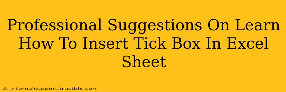 Professional Suggestions On Learn How To Insert Tick Box In Excel Sheet