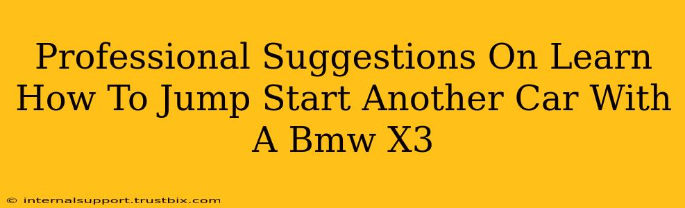 Professional Suggestions On Learn How To Jump Start Another Car With A Bmw X3