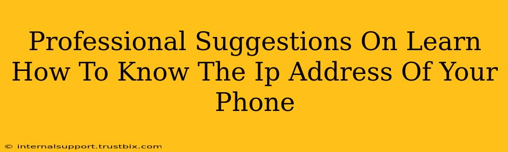 Professional Suggestions On Learn How To Know The Ip Address Of Your Phone