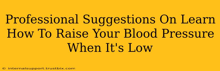 Professional Suggestions On Learn How To Raise Your Blood Pressure When It's Low