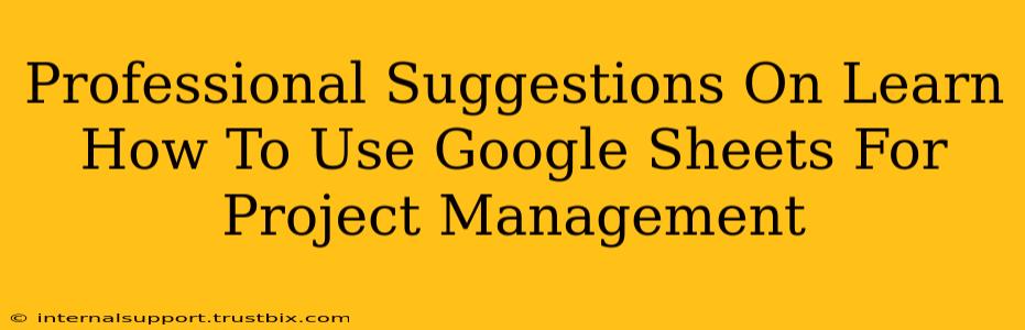 Professional Suggestions On Learn How To Use Google Sheets For Project Management