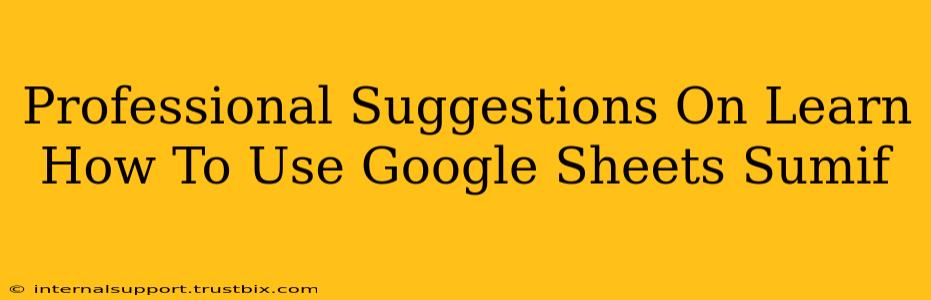 Professional Suggestions On Learn How To Use Google Sheets Sumif