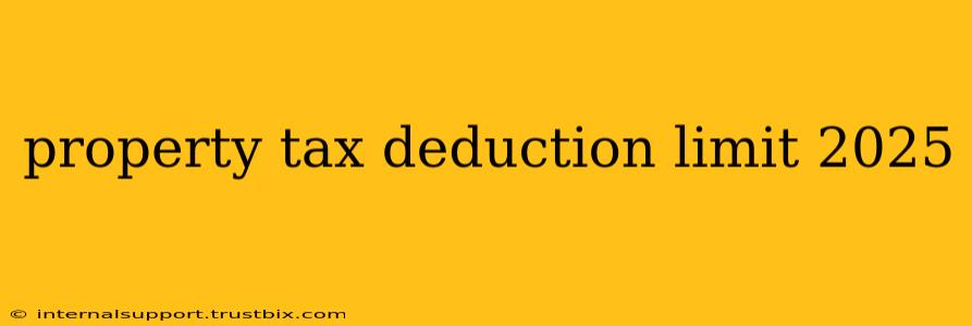 property tax deduction limit 2025