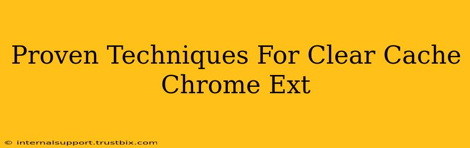 Proven Techniques For Clear Cache Chrome Ext