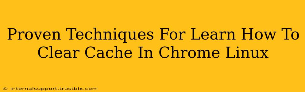 Proven Techniques For Learn How To Clear Cache In Chrome Linux