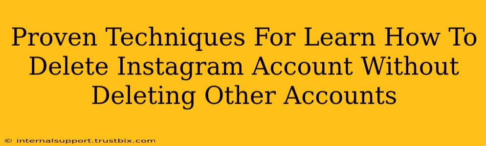 Proven Techniques For Learn How To Delete Instagram Account Without Deleting Other Accounts