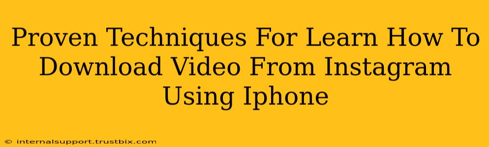 Proven Techniques For Learn How To Download Video From Instagram Using Iphone