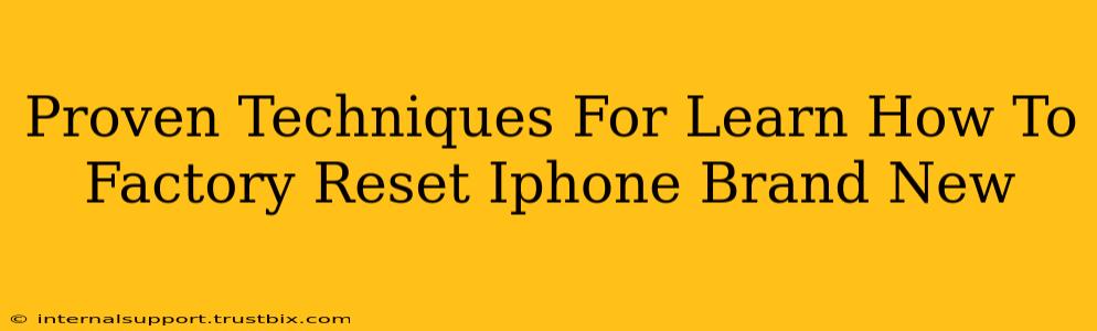 Proven Techniques For Learn How To Factory Reset Iphone Brand New