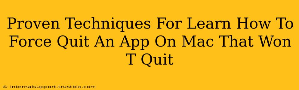 Proven Techniques For Learn How To Force Quit An App On Mac That Won T Quit