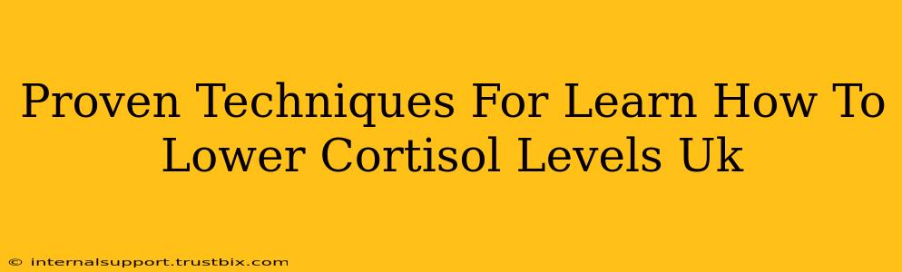 Proven Techniques For Learn How To Lower Cortisol Levels Uk