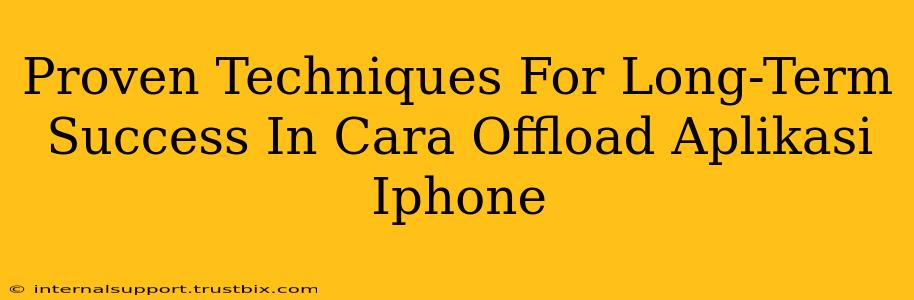 Proven Techniques For Long-Term Success In Cara Offload Aplikasi Iphone