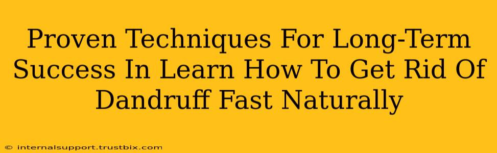 Proven Techniques For Long-Term Success In Learn How To Get Rid Of Dandruff Fast Naturally