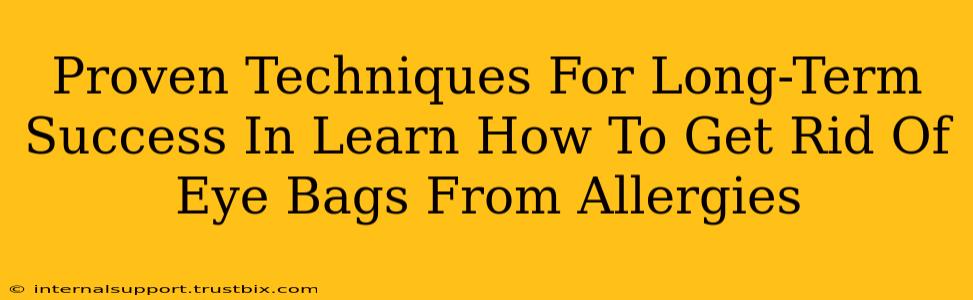 Proven Techniques For Long-Term Success In Learn How To Get Rid Of Eye Bags From Allergies