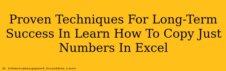 Proven Techniques For Long-Term Success In Learn How To Copy Just Numbers In Excel