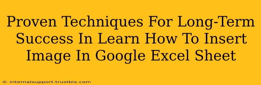 Proven Techniques For Long-Term Success In Learn How To Insert Image In Google Excel Sheet