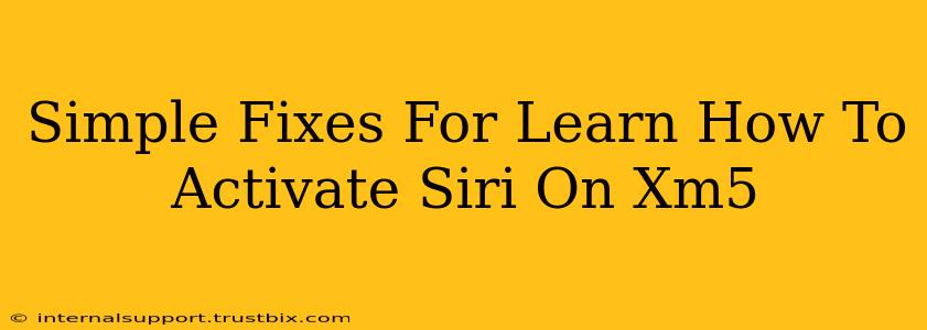 Simple Fixes For Learn How To Activate Siri On Xm5