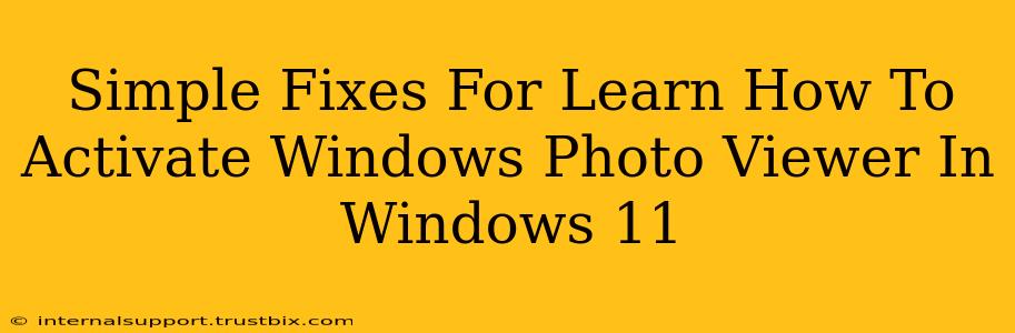 Simple Fixes For Learn How To Activate Windows Photo Viewer In Windows 11