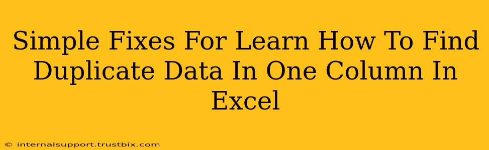 Simple Fixes For Learn How To Find Duplicate Data In One Column In Excel