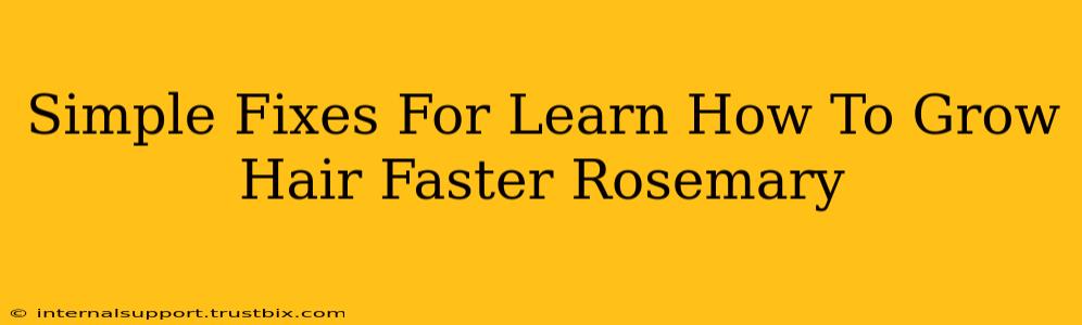 Simple Fixes For Learn How To Grow Hair Faster Rosemary