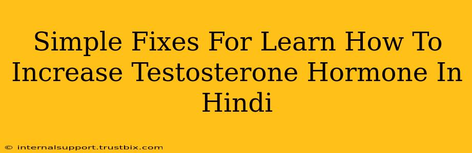 Simple Fixes For Learn How To Increase Testosterone Hormone In Hindi