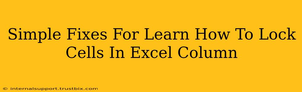 Simple Fixes For Learn How To Lock Cells In Excel Column