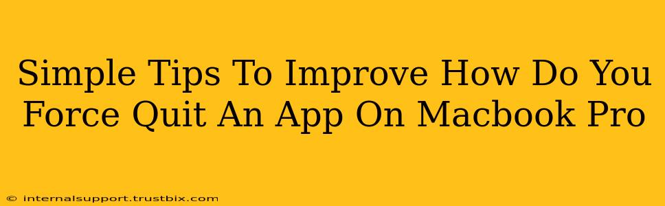 Simple Tips To Improve How Do You Force Quit An App On Macbook Pro