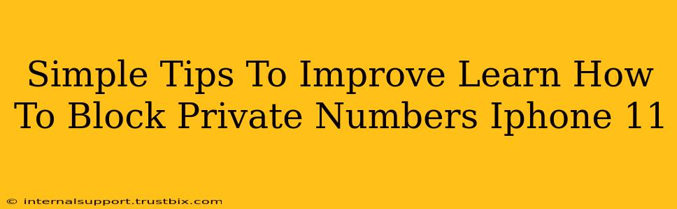 Simple Tips To Improve Learn How To Block Private Numbers Iphone 11