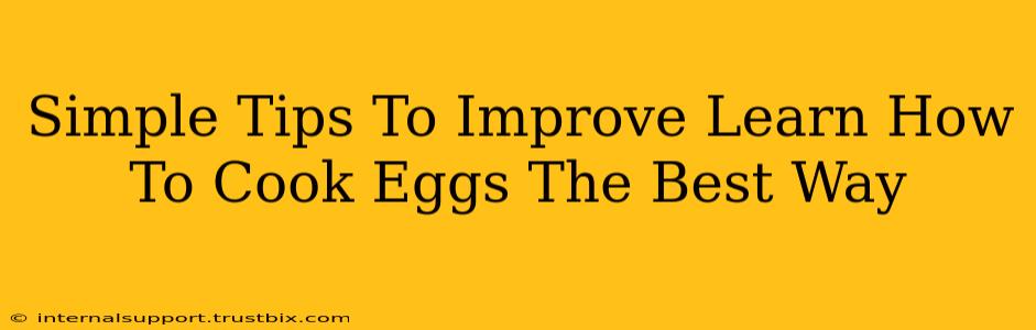 Simple Tips To Improve Learn How To Cook Eggs The Best Way