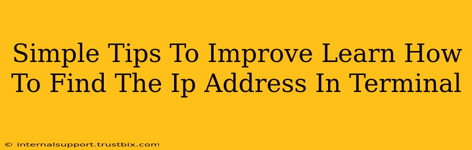 Simple Tips To Improve Learn How To Find The Ip Address In Terminal