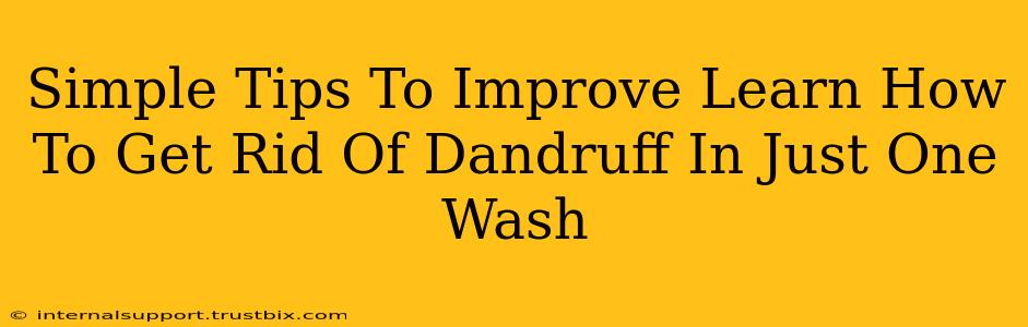 Simple Tips To Improve Learn How To Get Rid Of Dandruff In Just One Wash