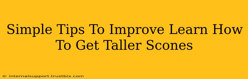 Simple Tips To Improve Learn How To Get Taller Scones