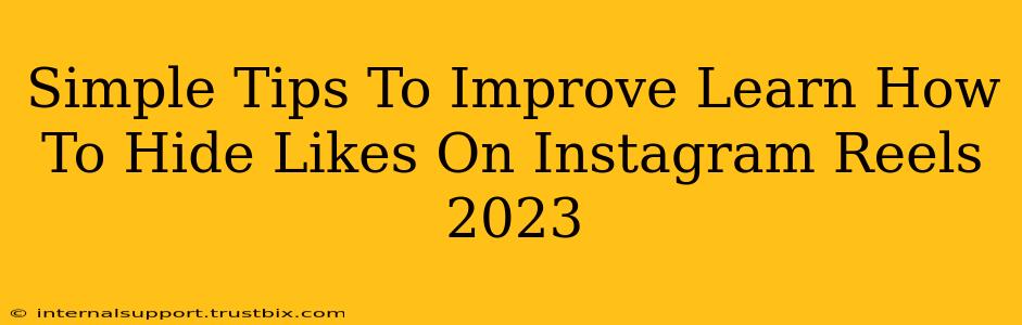 Simple Tips To Improve Learn How To Hide Likes On Instagram Reels 2023