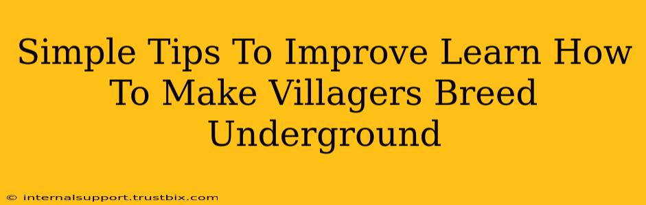 Simple Tips To Improve Learn How To Make Villagers Breed Underground