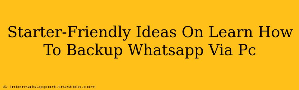 Starter-Friendly Ideas On Learn How To Backup Whatsapp Via Pc