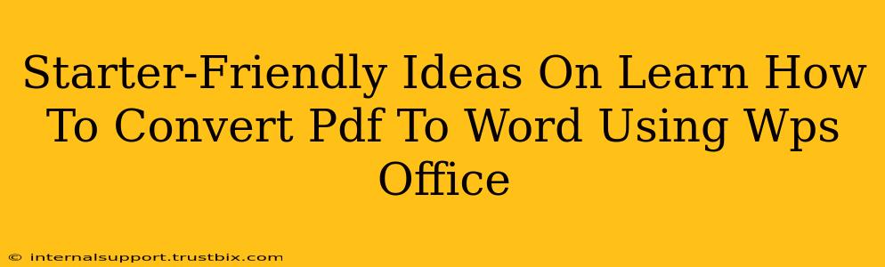 Starter-Friendly Ideas On Learn How To Convert Pdf To Word Using Wps Office