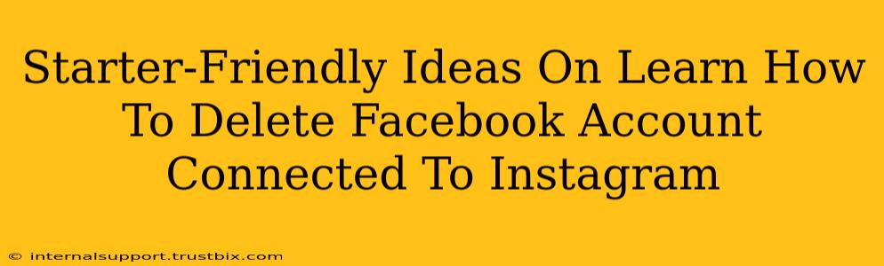 Starter-Friendly Ideas On Learn How To Delete Facebook Account Connected To Instagram