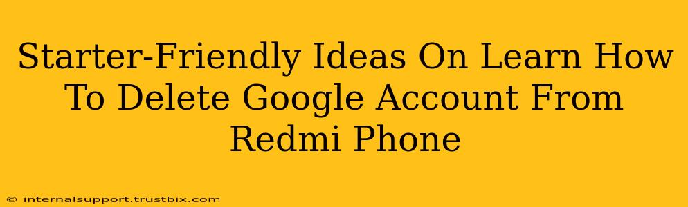 Starter-Friendly Ideas On Learn How To Delete Google Account From Redmi Phone