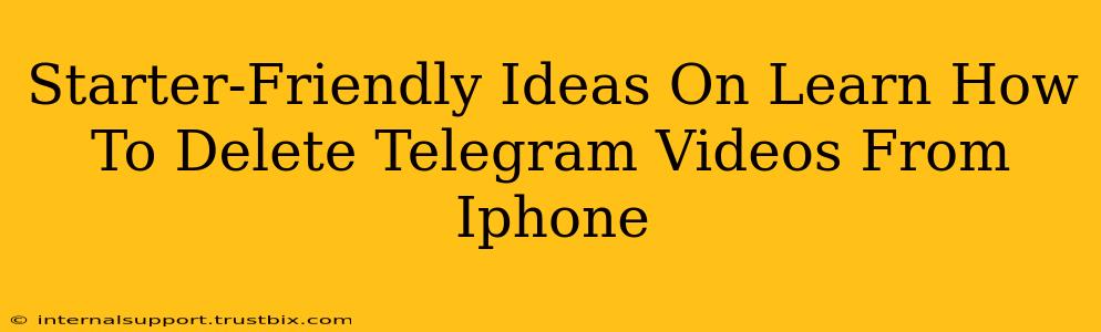 Starter-Friendly Ideas On Learn How To Delete Telegram Videos From Iphone