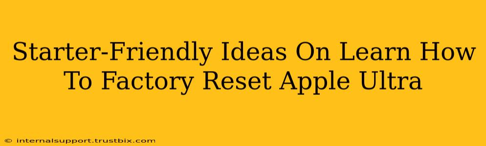 Starter-Friendly Ideas On Learn How To Factory Reset Apple Ultra