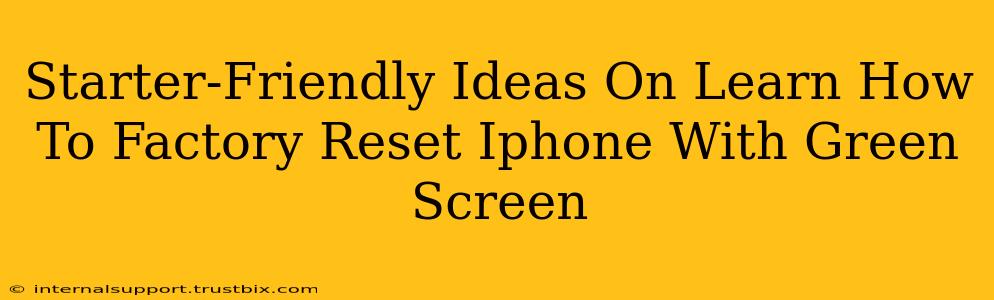 Starter-Friendly Ideas On Learn How To Factory Reset Iphone With Green Screen