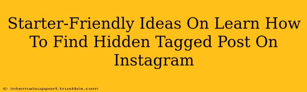 Starter-Friendly Ideas On Learn How To Find Hidden Tagged Post On Instagram