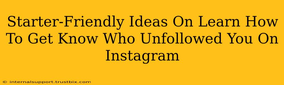 Starter-Friendly Ideas On Learn How To Get Know Who Unfollowed You On Instagram