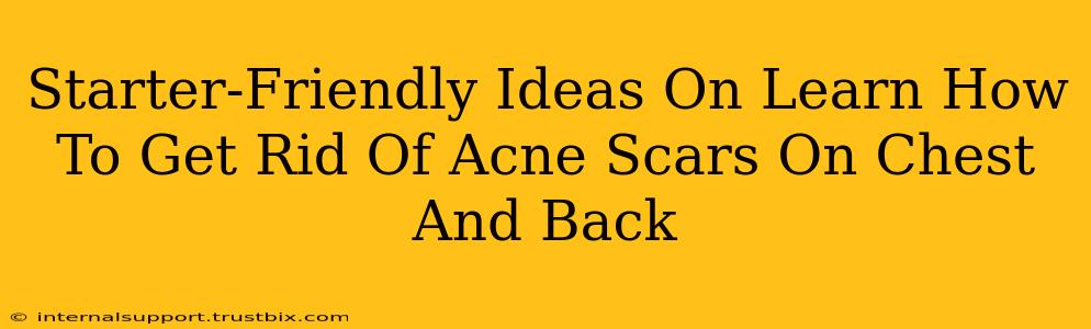 Starter-Friendly Ideas On Learn How To Get Rid Of Acne Scars On Chest And Back