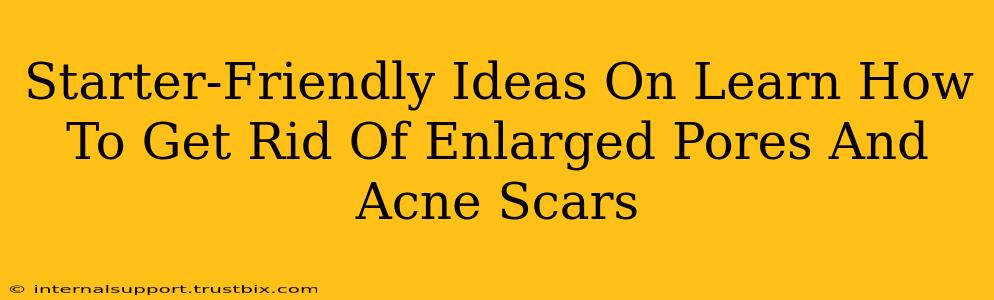 Starter-Friendly Ideas On Learn How To Get Rid Of Enlarged Pores And Acne Scars